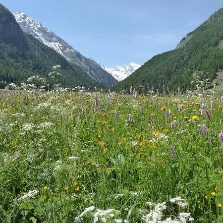 La Maison De Chouflette * Cogne