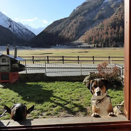 La Maison De Chouflette