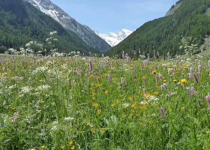 La Maison De Chouflette * קונייה