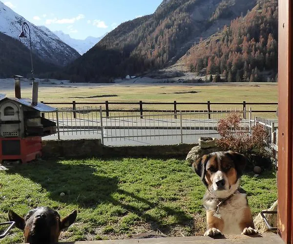 La Maison De Chouflette